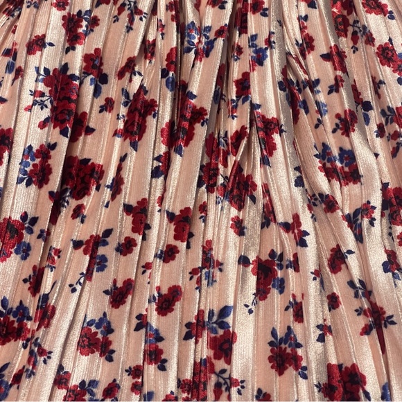 Pippa & Julie Light Pink Velvet Pleated Floral Skirt with Red & Blue Accents - Picture 3 of 7